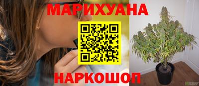 прущие грибы Бузулук