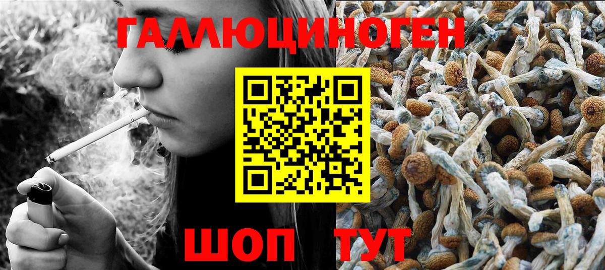 Галлюциногенные грибы Cubensis Заречный