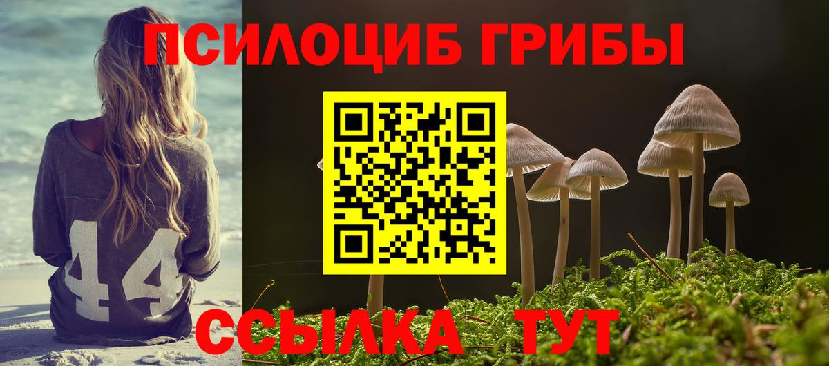 Псилоцибиновые грибы ЛСД  Галлюциногенные грибы Psilocybine cubensis  Заречный  Вход с VPN 